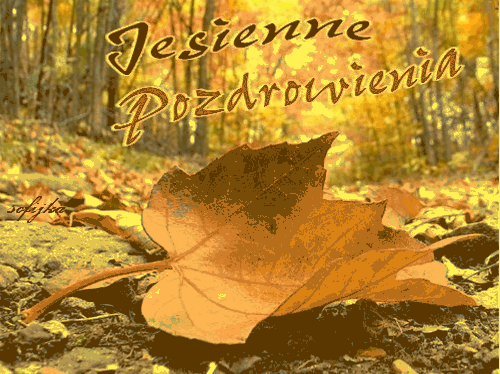 Jesienne pozdrowienia liść kolorowy